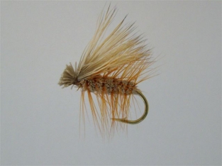 Size 10 Caddis Irresistible